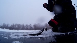 Учимся ловить рыбу на гирлянду зимой