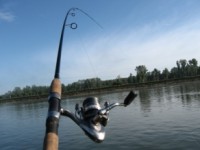 Как правильно делать заброс спиннингом? Техника заброса спиннинга: проверенные способы для идеальной рыбалки. Видео