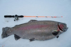 Ловля форели зимой: особенности зимней рыбалки