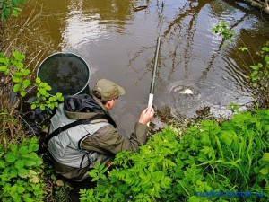 Ловля карася весной — залог успешной рыбалки