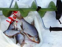 Лучшие воблеры на голавля: что следует знать для качественной рыбной ловли?
