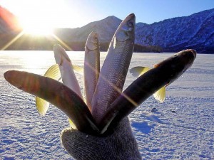 Зимова риболовля - запорука міцного здоров'я та душевної рівноваги