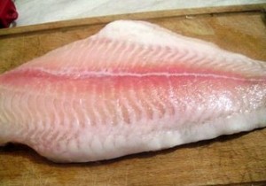 Яку користь несе в собі риба пангасіус