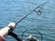 Как правильно ловить на фидер — полезные советы рыболовам