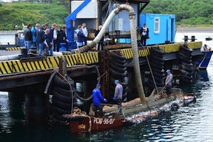 У Керченській протоці почався масовий вилов хамси