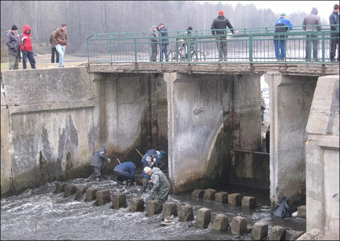 Дика риболовля в Барановичах