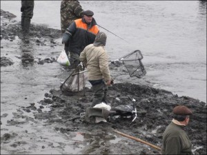 Дика риболовля в Барановичах