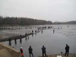 Дика риболовля в Барановичах