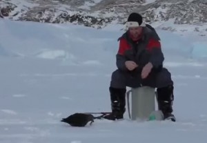 Исследователи в Антарктиде занимаются активной рыбалкой