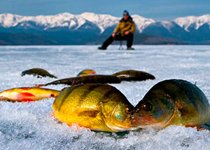 рыбалка в Иркутской области